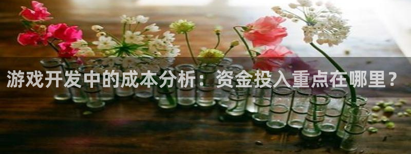 沐鸣2平台测速登录：游戏开发中的成本分析：资金投入重点在哪里？
